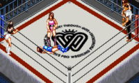 Super Fire Pro Wrestling – Queen’s Special (Japan)