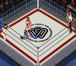 Super Fire Pro Wrestling – Queen’s Special (Japan)