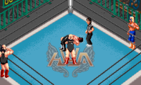 Super Fire Pro Wrestling Special (Japan)
