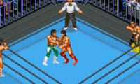 Super Fire Pro Wrestling X (Japan)