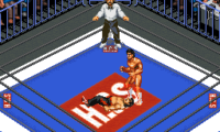 Super Fire Pro Wrestling X Premium (Japan)