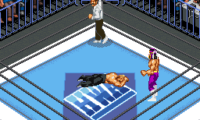 Super Fire Pro Wrestling X Premium (Japan) [En by Sydra v0.70]