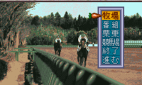 Super Honmei – GI Seiha (Japan)
