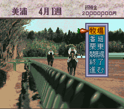 Super Honmei – GI Seiha (Japan)