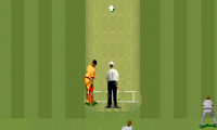 Super International Cricket (Europe)