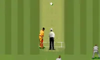 Super International Cricket (Europe)