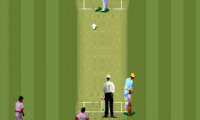 Super International Cricket (Europe) (Beta)