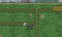 Super Keiba 2 (Japan)