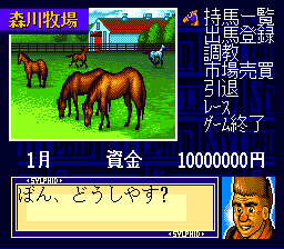 Super Kyousouba – Kaze no Sylphid (Japan)