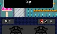 Super Mario: Endless Earth