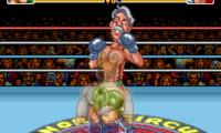 Super Punch-Out!! (USA)