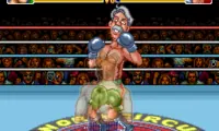 Super Punch-Out!! (USA)
