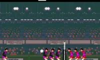 Super Volley Ball (Japan)