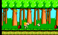Super Wonder Boy (Japan)