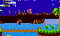 Superstars Amy Rose in Sonic the Hedgehog