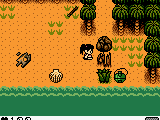 Survival Kids (USA)
