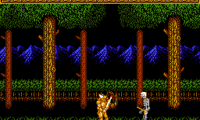 Sword Master (Japan)