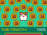 Sylvanian Families 3 – Hoshi Furu Yoru no Sunadokei (Japan)