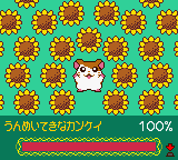 Sylvanian Families 3 – Hoshi Furu Yoru no Sunadokei (Japan)