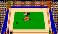 Tag Team Pro-Wrestling (Japan)