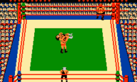 Tag Team Wrestling (USA)