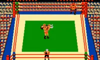 Tag Team Wrestling (USA)
