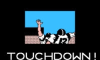 Tecmo Bowl (USA)