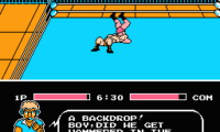 Tecmo World Wrestling (USA)
