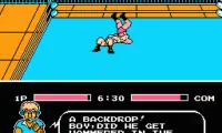 Tecmo World Wrestling (USA)
