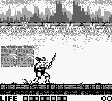 Teenage Mutant Ninja Turtles – Fall of the Foot Clan (USA)