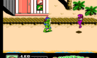 Teenage Mutant Ninja Turtles II – The Manhattan Project (Japan)