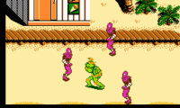 Teenage Mutant Ninja Turtles III – The Manhattan Project (USA)