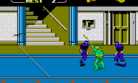 Teenage Mutant Ninja Turtles (Japan)