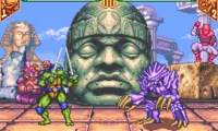 Teenage Mutant Ninja Turtles – Mutant Warriors (Japan)
