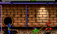 Teenage Mutant Ninja Turtles – The Hyperstone Heist (USA)