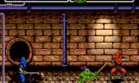 Teenage Mutant Ninja Turtles – The Hyperstone Heist (USA)