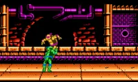 Teenage Mutant Ninja Turtles – Tournament Fighters (Roster Hack)