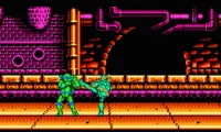 Teenage Mutant Ninja Turtles – Tournament Fighters (USA)