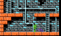 Teenage Mutant Ninja Turtles (USA)