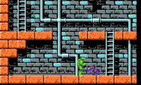 Teenage Mutant Ninja Turtles (USA)