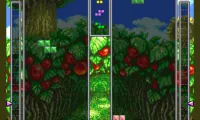 Tetris Battle Gaiden (Japan)