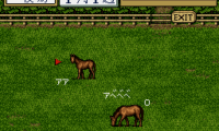 Thoroughbred Breeder II (Japan)