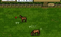 Thoroughbred Breeder II (Japan)