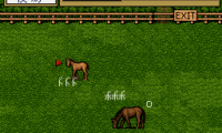Thoroughbred Breeder (Japan)