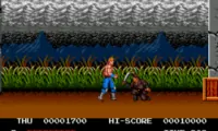 Thunder Fox (USA)
