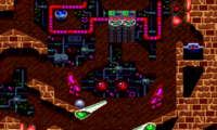 Time Cruise (USA)
