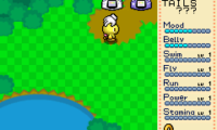 Tiny Chao Garden