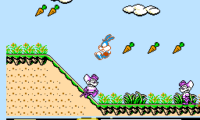 Tiny Toon Adventures (Japan)
