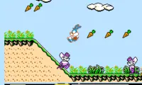 Tiny Toon Adventures (Japan)