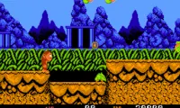 Toki (USA)
